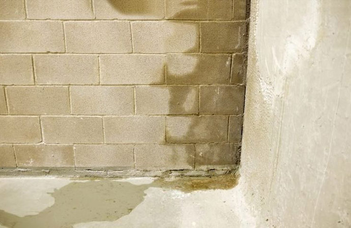 Major Health Risks for Having a Wet Basement